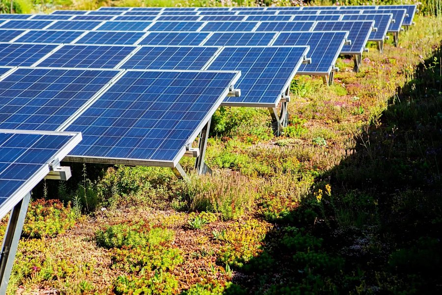 Photovoltaik richtig auf einem grünen Dach montieren – Die Rolle von Betonblöcken